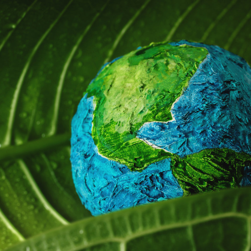 Thriving in the Cooking Business: Restaurants, Culinary Trends and Café Ideas