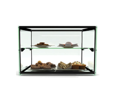 sayl Sayl Ambient Display Two Tier 550mm ADS0010