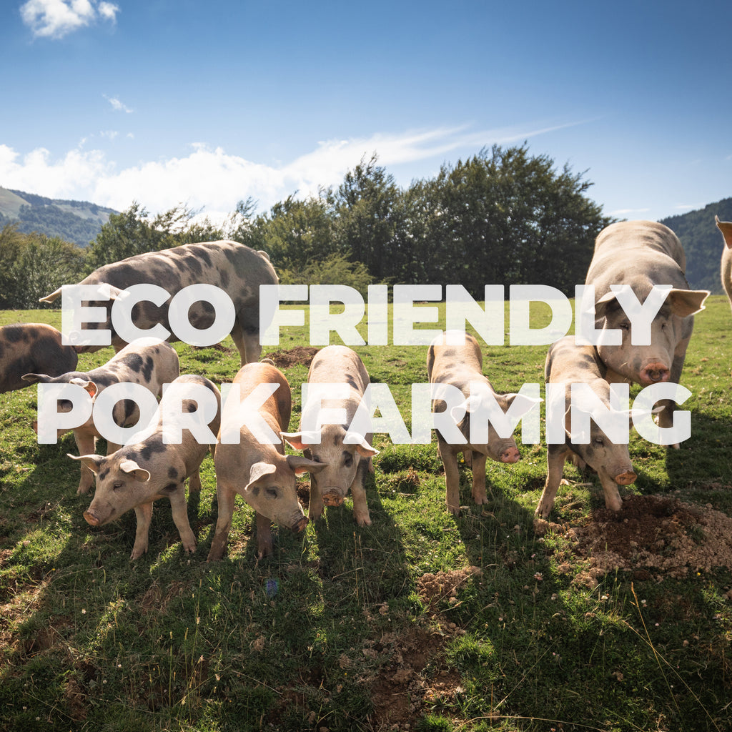 A Dive into the Realm of Eco-Friendly Pork Farming