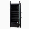 Bromic Upright 546L Display Freezer 1 Door Flat Glass Lightbox UF0550GDL-NR