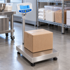 Adam GFK-S Floor Scale 150kg — GFK-S 150