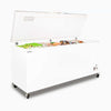 Bromic 675L Stainless Steel Storage Chest Freezer CF0700FTSS-NR