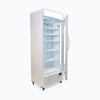 Bromic Upright 659L Display Fridge 1 Door Flat Glass Lightbox GM0690LW