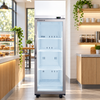 SKOPE TCE650N EziCore 1 Glass Door Display or Storage Fridge 558L