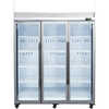 SKOPE TMF1500N-AC ActiveCore 3 Glass Door Display or Storage Freezer, Lit Sign 1399L