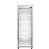SKOPE TMF650N-AC ActiveCore 1 Glass Door Display or Storage Freezer, Lit Sign 558L