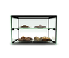 Sayl Ambient Display Two Tier 550mm ADS0010