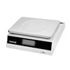 Weighstation Digital Platform Scale 15kg