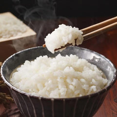 Apuro Apuro 4.2L Rice Cooker