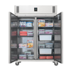 Polar U-Series 1170L Premium 2 Door Freezer - UA004-A